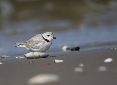 IMG_0648_2.jpg