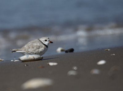 IMG_0665_2.jpg