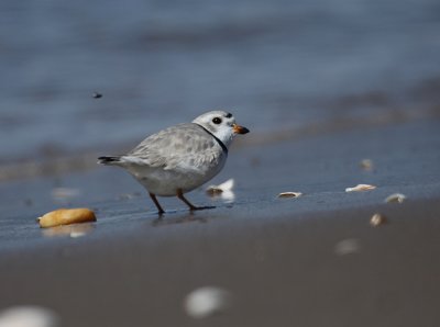 IMG_0673_2.jpg