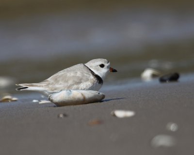 IMG_0679_2.jpg