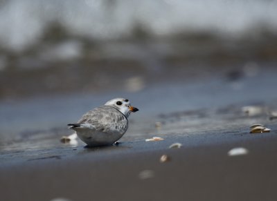IMG_0682_2.jpg