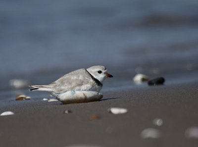 IMG_0698_2.jpg