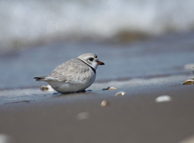 IMG_0720_2.jpg