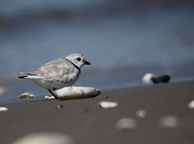 IMG_0723_2.jpg