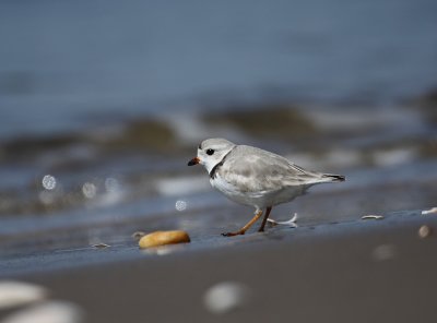 IMG_0745_2.jpg