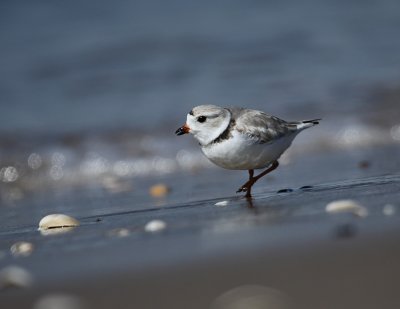 IMG_0817_2.jpg