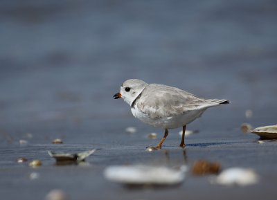 IMG_0885_2.jpg