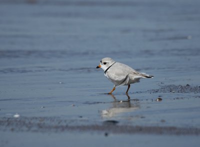 IMG_0955_2.jpg