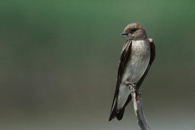 IMG_0671_2.jpg