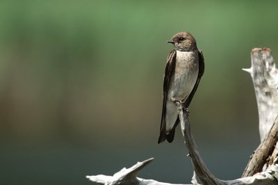 IMG_0679_2.jpg