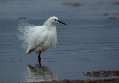 IMG_1164_3.jpg