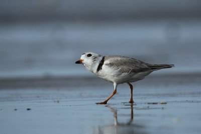 IMG_5211_2.jpg