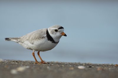 IMG_5354_2.jpg