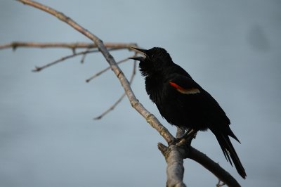 IMG_6248_2.jpg