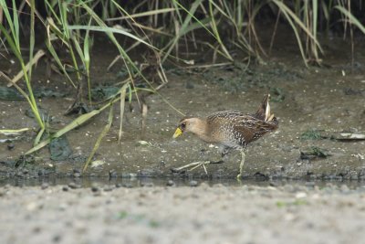 IMG_4866_2.jpg