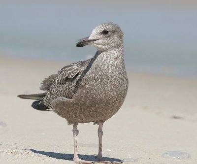 IMG_9025_2.jpg