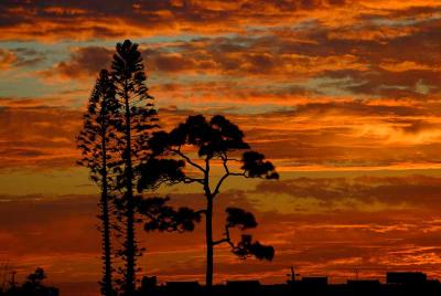 Backyard Sunset