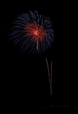 _DSC4491
