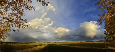 Fading Light, Early Fall