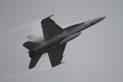 RAAF Boeing F-18F Rhino