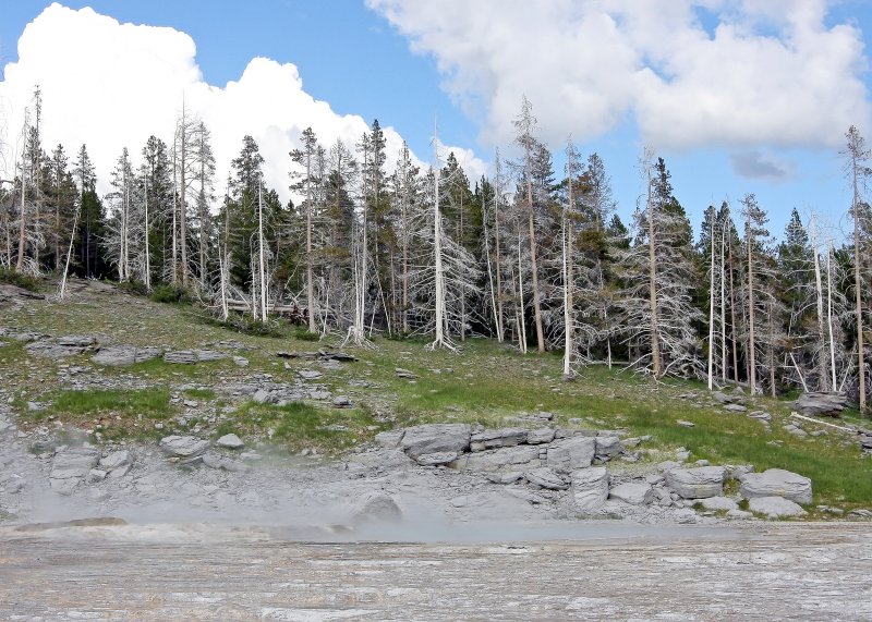 Grand Geyser and the surrounding area in Yellowstone National Park
