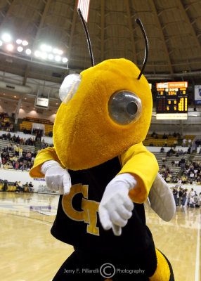 Yellow Jackets Mascot Buzz works the camera