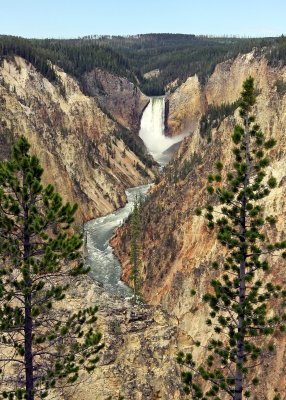 Yellowstone National Park - East, Wyoming