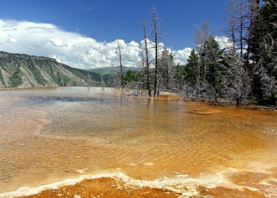 View of the Main Terrace at Mammoth Hot Springs