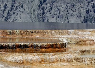 Close-up view of the Main Terrace at Mammoth Hot Springs