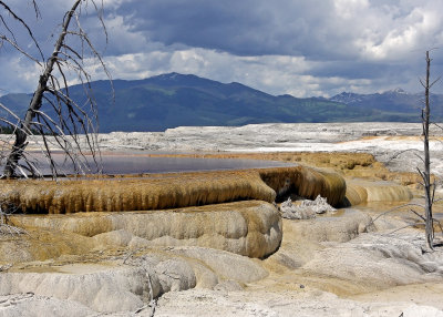 View of the Main Terrace at Mammoth Hot Springs
