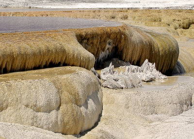 The edge of the Main Terrace at Mammoth Hot Springs