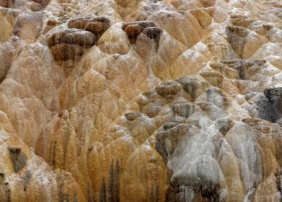 Close-up of Cleopatra Terrace at Mammoth Hot Springs