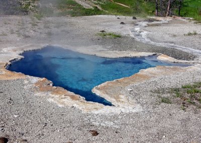 Blue Star Spring in Yellowstone National Park