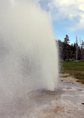 Aurum Geyser goes off unexpectedly in Yellowstone National Park