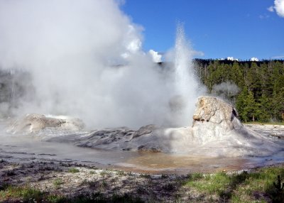 Grotto Geyser having a minor eruption in Yellowstone National Park