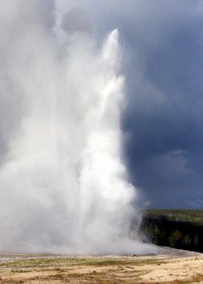 Old Faithful Geyser in a rain storm in Yellowstone National Park