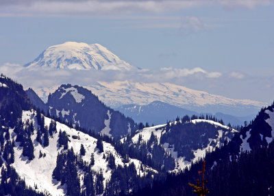 Mount Adams from Mount Rainier National Park