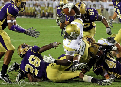 Yellow Jackets QB David Sims crashes through the Catamounts defenders and into the end zone