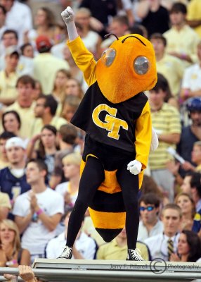 Jackets Mascot Buzz salutes the crowd after doing his touchdown push-ups