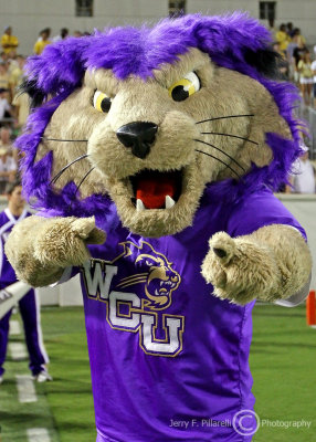Western Carolina Catamounts Mascot Paws cheers the team on from the sidelines