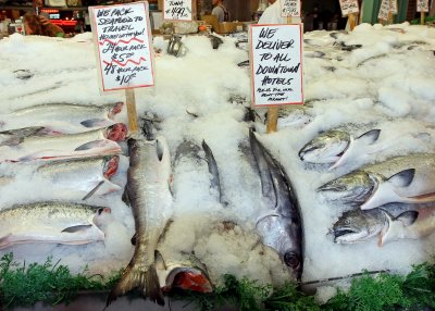 Salmon and tuna waiting to be tossed at the Pike Place Fish Market