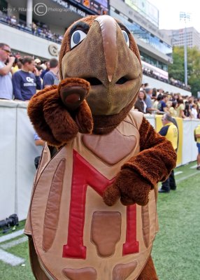 Maryland Terrapins Mascot on the sidelines