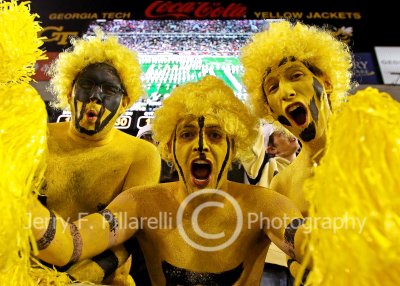Georgia Tech fans in the south end zone