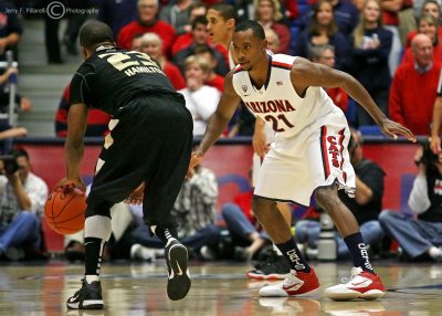 Wildcats G Fogg defends Golden Grizzly G Hamilton