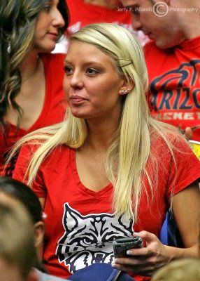 Arizona Wildcats Fan