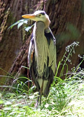 19-IMG_0534