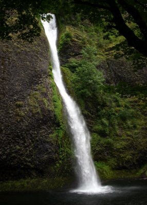 Horsetail Falls - Columbia River Gorge OR