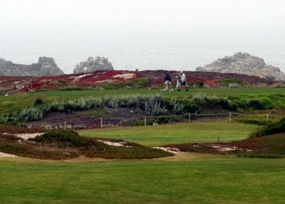 Golf Course at Point Pinos