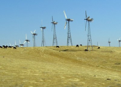 Windmill Farm - Livermore CA