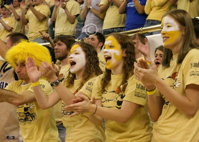 Yellow Jackets fans show their spirit and cheer the team on